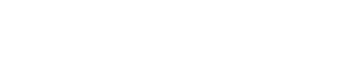 PlaneSense logo white